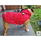 IMPERMEABLE COLETTE POUR BOULEDOGUES FRANCAIS & ANGLAIS