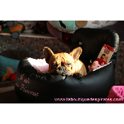 COSY CAR DELUXE MINKY BOULEDOGUE