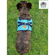 HARNAIS VESTE JAYDEN MILK & PEPPER POUR BOULEDOGUE