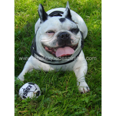 BALLES KONG SPORT POUR CHIEN