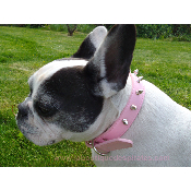 COLLIER REBELLE GIRLY POUR CHIEN