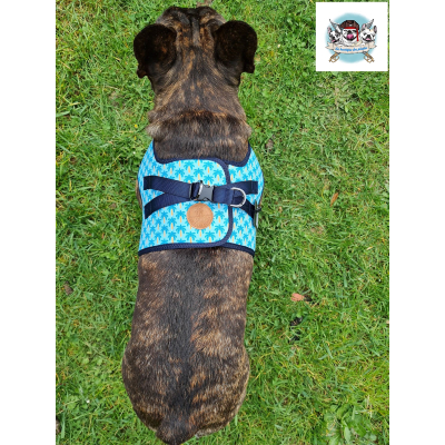 HARNAIS VESTE JAYDEN MILK & PEPPER POUR BOULEDOGUE