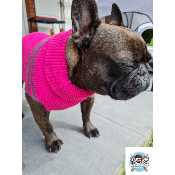 PULL DISCOVERY PINK POUR CHIEN