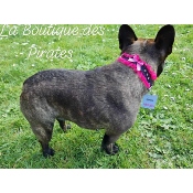 COLLIER PIN UP POUR BOULEDOGUE