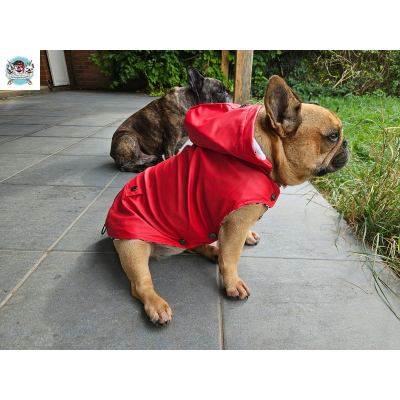 IMPERMEABLE TRIBORD ROUGE POUR BOULEDOGUE 