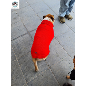 PULL HELSINKI SPECIAL BOULEDOGUE ANGLAIS