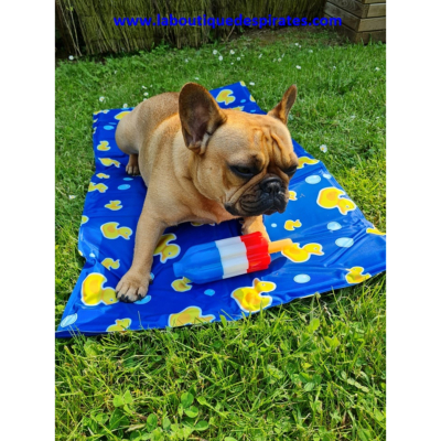 TAPIS RAFRAICHISSANT POUR BOULEDOGUES