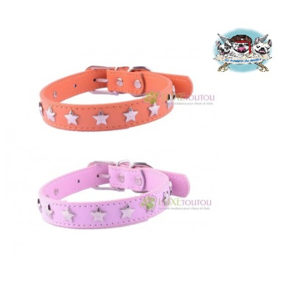 COLLIER CUIR  HOLLYWOOD POUR BOULEDOGUE