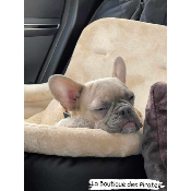 COSY CAR BLACK CONFORT CARAMEL  BOULEDOGUE