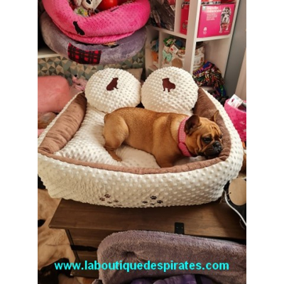 DIVAN PATTES BEIGE CHOCOLAT POUR BOULEDOGUE