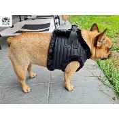 HARNAIS VESTE KURT MILK AND PEPPER POUR BOULEDOGUE
