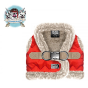 HARNAIS VESTE PERCY POUR BOULEDOGUE FRANCAIS