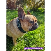 COLLIER STRASS EN CUIR POUR BOULEDOGUE