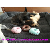 DONUT LATEX POUR BOULEDOGUE