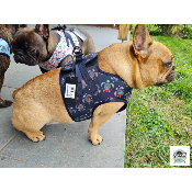 HARNAIS VESTE TORTUE MARINE POUR BOULEDOGUE