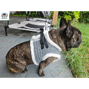 HARNAIS VESTE IVAR MILK AND PEPPER POUR BOULEDOGUE