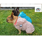 IMPERMEABLE LUCIA POUR BOULEDOGUE