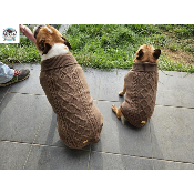 PULL CONNOR MARRON SPECIAL BOULEDOGUE FRANCAIS ET ANGLAIS