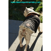 MANTEAU SULLIVAN POUR BOULEDOGUE