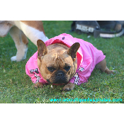 IMPERMEABLE POUR BOULEDOGUE  PUPPIA