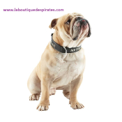 COLLIER ROCK MY DOG POUR BOULEDOGUE