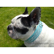 COLLIER STRASS EN CUIR POUR BOULEDOGUE