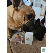 EAU DE PARFUM ESPRIT MILK ET ESPRIT PEPPER POUR BOULEDOGUE