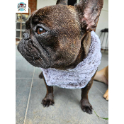 HARNAIS VESTE NELLA MILK AND PEPPER BOULEDOGUE