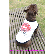 TEE SHIRT KISS ME POUR BOULEDOGUE