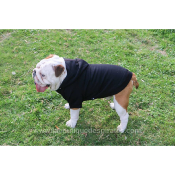 SWEAT TEO PIRATE POUR BOULEDOGUE