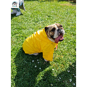 IMPERMEABLE POUR BOULEDOGUE  PUPPIA