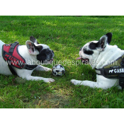 BALLES KONG SPORT POUR CHIEN