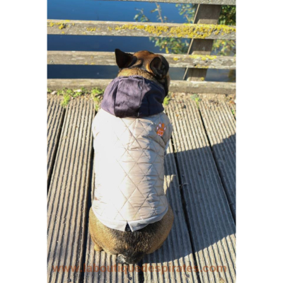 PARKA BRUN BOULEDOGUE FRANCAIS