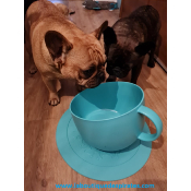 ENSEMBLE GAMELLE TASSE + SOUS TASSE POUR BOULEDOGUE