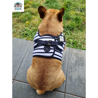 HARNAIS VESTE MARIN POUR BOULEDOGUE