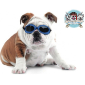 LUNETTES DE SOLEIL DOGGLES