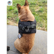 HARNAIS VESTE MUSHER NOIR BOULEDOGUE FRANCAIS