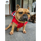IMPERMEABLE TRIBORD ROUGE POUR BOULEDOGUE 
