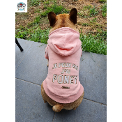 SWEAT PONY POUR CHIEN MILK & PEPPER