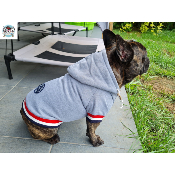 SWEAT ARTIMON POUR BOULEDOGUE