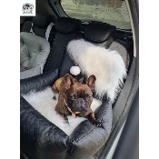 COSY CAR DELUXE GALACTICA POUR BOULEDOGUE