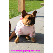 SWEAT DIVA ROSE POUR BOULEDOGUE