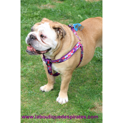 HARNAIS NYLON CERISE  BOULIS ANGLAIS