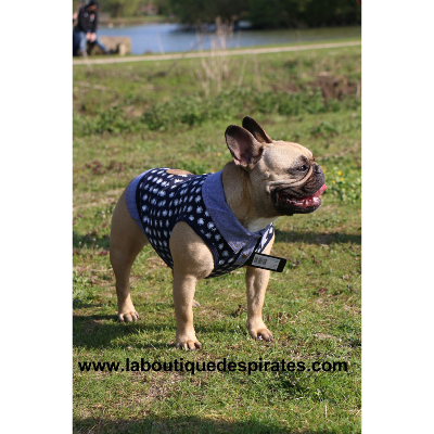 POLO REEF MP POUR BOULEDOGUE