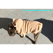 SWEAT ELLIOT A  CAPUCHE POUR BOULEDOGUE