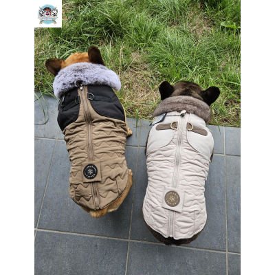 DOUDOUNE HARNAIS INTEGRE SPECIAL BOULEDOGUE FRANCAIS
