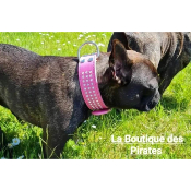 COLLIER STRASS EN CUIR POUR BOULEDOGUE