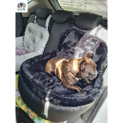 COSY CAR BLACK CONFORT TEDDY POUR BOULEDOGUE