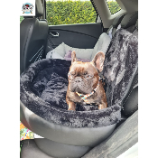 COSY CAR BLACK CONFORT TEDDY POUR BOULEDOGUE