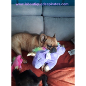 PELUCHE LICORNE POUR BOULEDOGUE